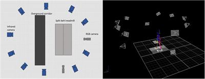 Gait analysis comparison between manual marking, 2D pose estimation algorithms, and 3D marker-based system